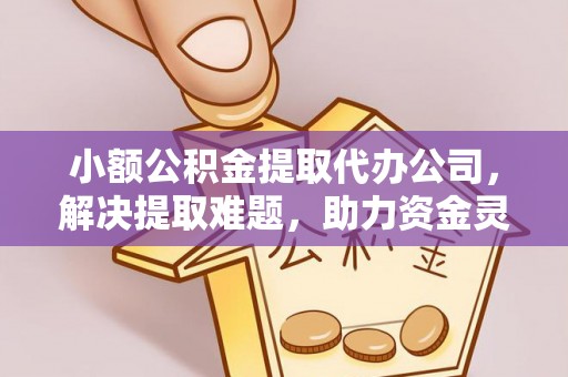 华龙小额公积金提取代办公司，解决提取难题，助力资金灵活使用