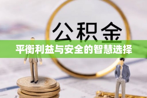 华龙平衡利益与安全的智慧选择