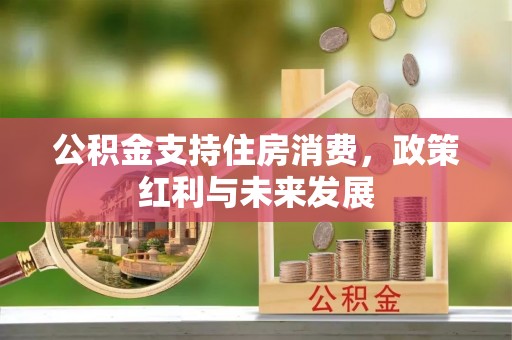 华龙公积金支持住房消费，政策红利与未来发展