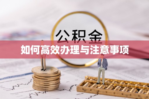 华龙如何高效办理与注意事项