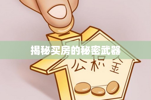 华龙揭秘买房的秘密武器