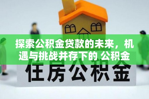 华龙探索公积金贷款的未来，机遇与挑战并存下的 公积金贷款风险防控