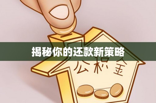 华龙揭秘你的还款新策略
