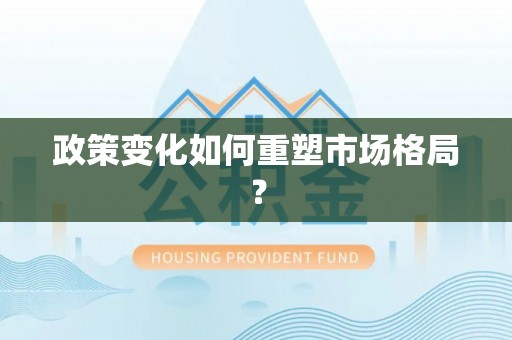 华龙政策变化如何重塑市场格局？