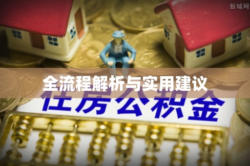 华龙全流程解析与实用建议