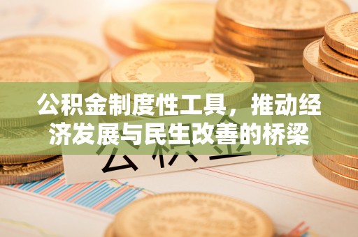 华龙公积金制度性工具，推动经济发展与民生改善的桥梁