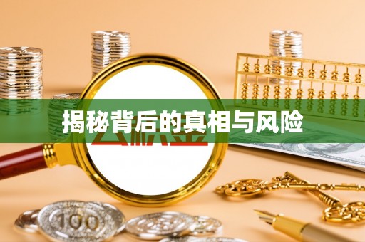 华龙揭秘背后的真相与风险