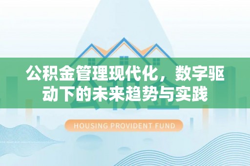 华龙公积金管理现代化，数字驱动下的未来趋势与实践