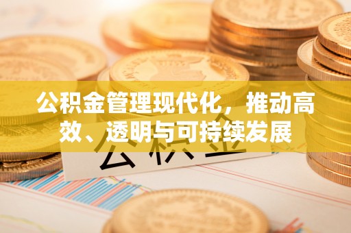 华龙公积金管理现代化，推动高效、透明与可持续发展