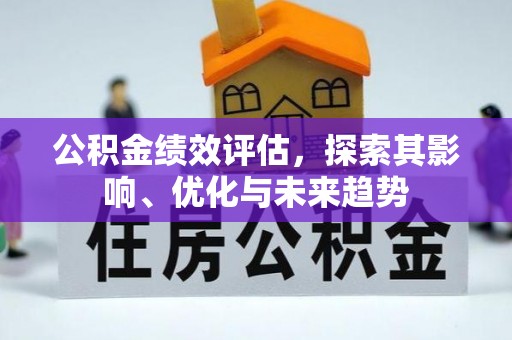 华龙公积金绩效评估，探索其影响、优化与未来趋势