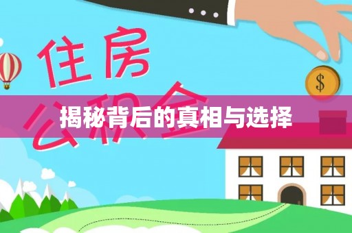 华龙揭秘背后的真相与选择