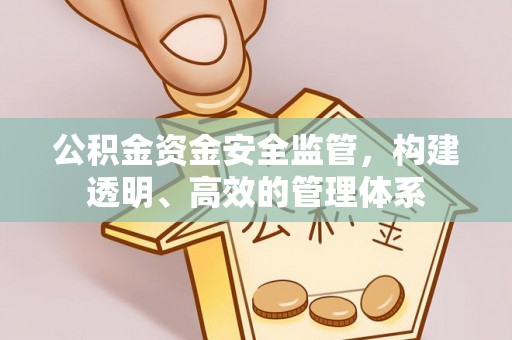 华龙公积金资金安全监管，构建透明、高效的管理体系