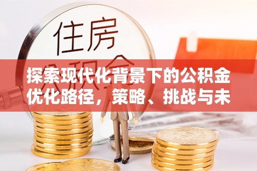 华龙探索现代化背景下的公积金优化路径，策略、挑战与未来展望