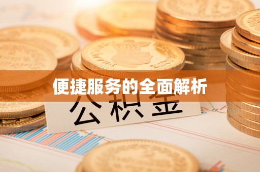 华龙便捷服务的全面解析