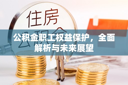 华龙公积金职工权益保护，全面解析与未来展望