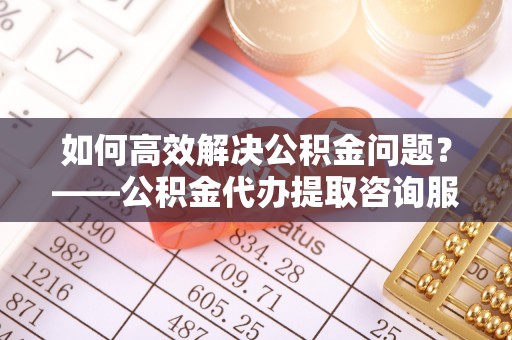 华龙如何高效解决公积金问题？——公积金代办提取咨询服务指南