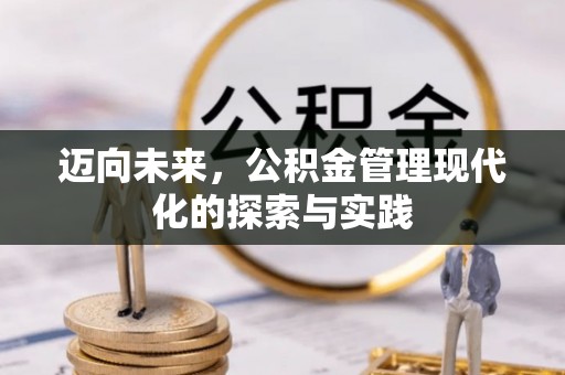 华龙迈向未来，公积金管理现代化的探索与实践