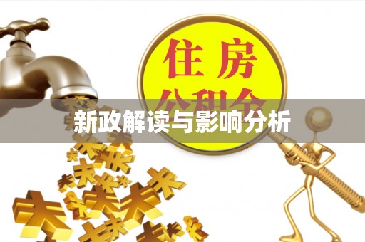 华龙新政解读与影响分析