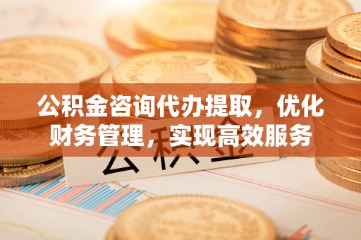 华龙公积金咨询代办提取，优化财务管理，实现高效服务