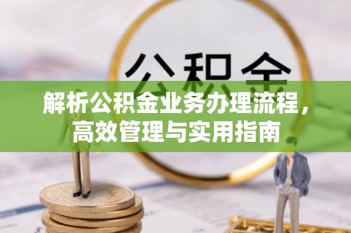 华龙解析公积金业务办理流程，高效管理与实用指南