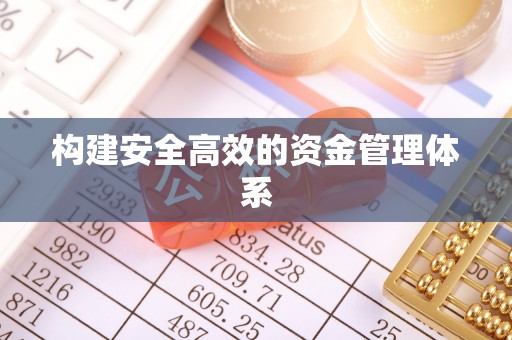 华龙构建安全高效的资金管理体系