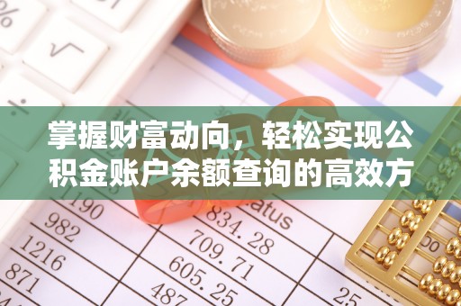 华龙掌握财富动向，轻松实现公积金账户余额查询的高效方式