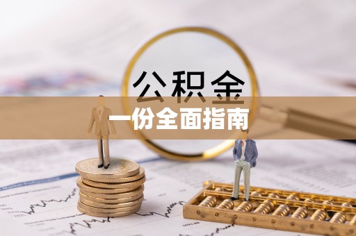 华龙一份全面指南