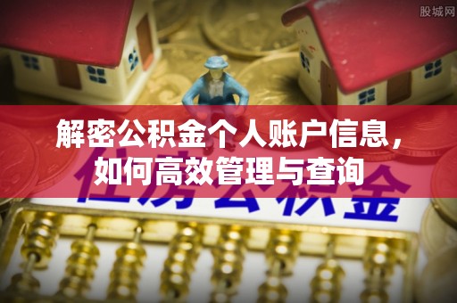 华龙解密公积金个人账户信息，如何高效管理与查询