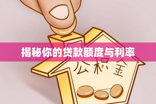 华龙揭秘你的贷款额度与利率