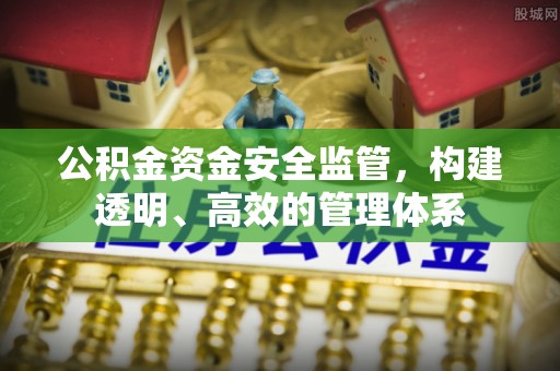 华龙公积金资金安全监管，构建透明、高效的管理体系