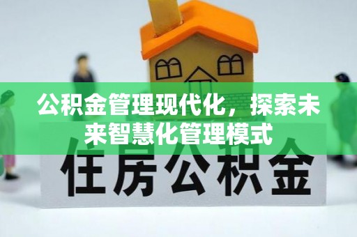 华龙公积金管理现代化，探索未来智慧化管理模式
