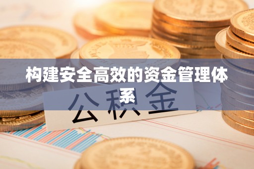 华龙构建安全高效的资金管理体系