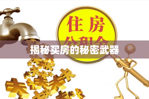 华龙揭秘买房的秘密武器