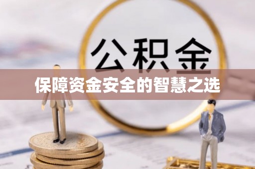 华龙保障资金安全的智慧之选