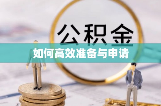 华龙如何高效准备与申请
