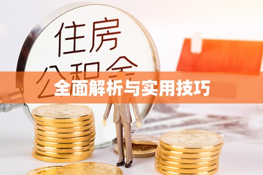 华龙全面解析与实用技巧