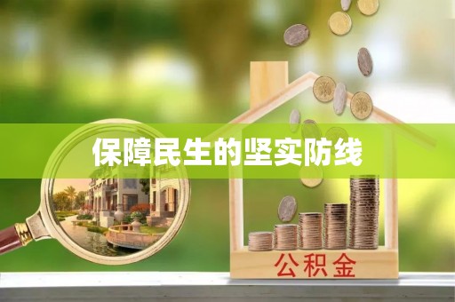 华龙保障民生的坚实防线