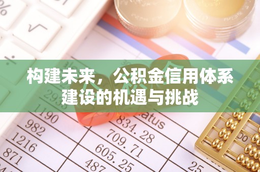 华龙构建未来，公积金信用体系建设的机遇与挑战