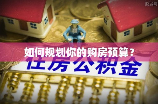 华龙如何规划你的购房预算？