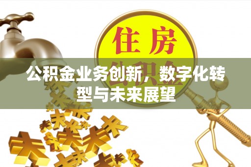 华龙公积金业务创新，数字化转型与未来展望