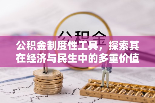 华龙公积金制度性工具，探索其在经济与民生中的多重价值