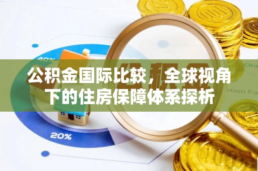 华龙公积金国际比较，全球视角下的住房保障体系探析