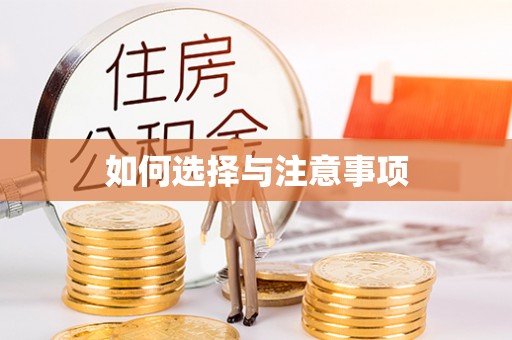 华龙如何选择与注意事项