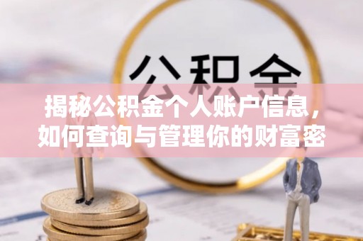 华龙揭秘公积金个人账户信息，如何查询与管理你的财富密码