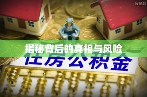 华龙揭秘背后的真相与风险