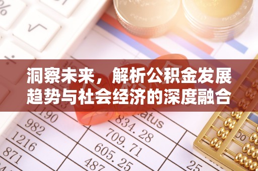 华龙洞察未来，解析公积金发展趋势与社会经济的深度融合