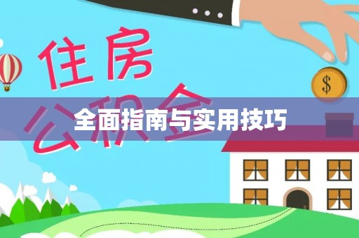 华龙全面指南与实用技巧