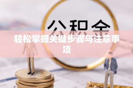 华龙轻松掌握关键步骤与注意事项
