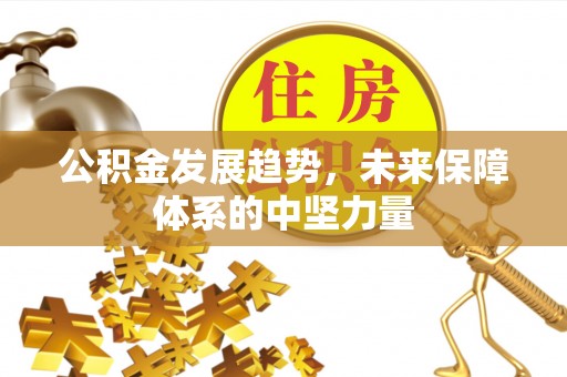 华龙公积金发展趋势，未来保障体系的中坚力量