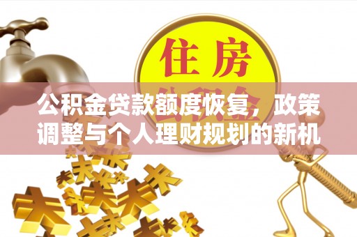 华龙公积金贷款额度恢复，政策调整与个人理财规划的新机遇